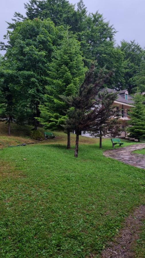 Отель Bujtina Te Grima Тети Экстерьер фото