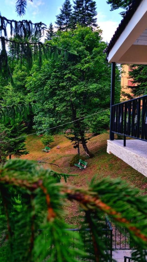 Отель Bujtina Te Grima Тети Экстерьер фото